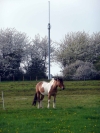 Download: Outdoor WLAN in der Vordereifel